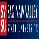 SVSU President’s International Scholarships in USA